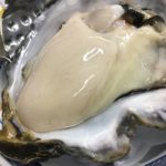 岩手県広田湾の牡蠣