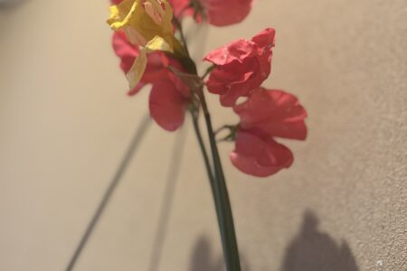 お花