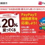 PayPay 20%