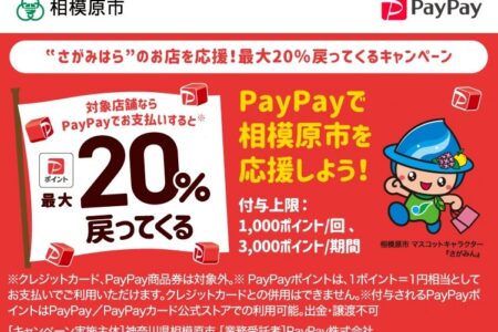 PayPay 20%