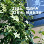 お休み
