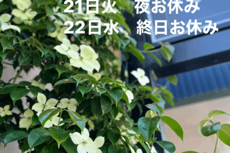 お休み