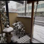 雪止まず焦る