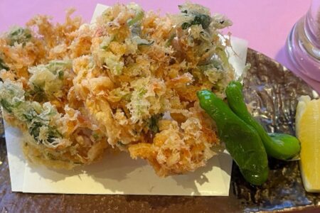 由比　桜えび　春漁