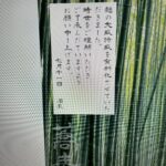 大盛特盛　有料化